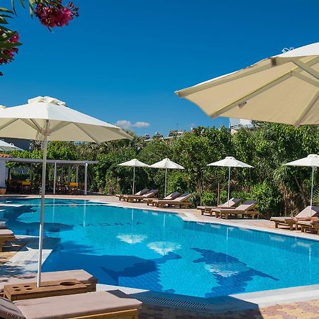 Enorme Armonia Beach (Adults Only) Gazi Exterior photo